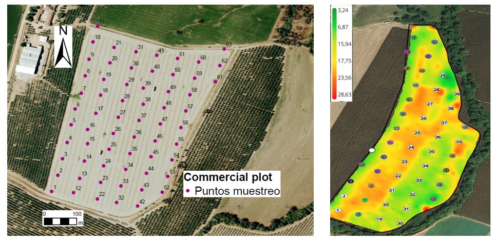 Digispac%20figura%203